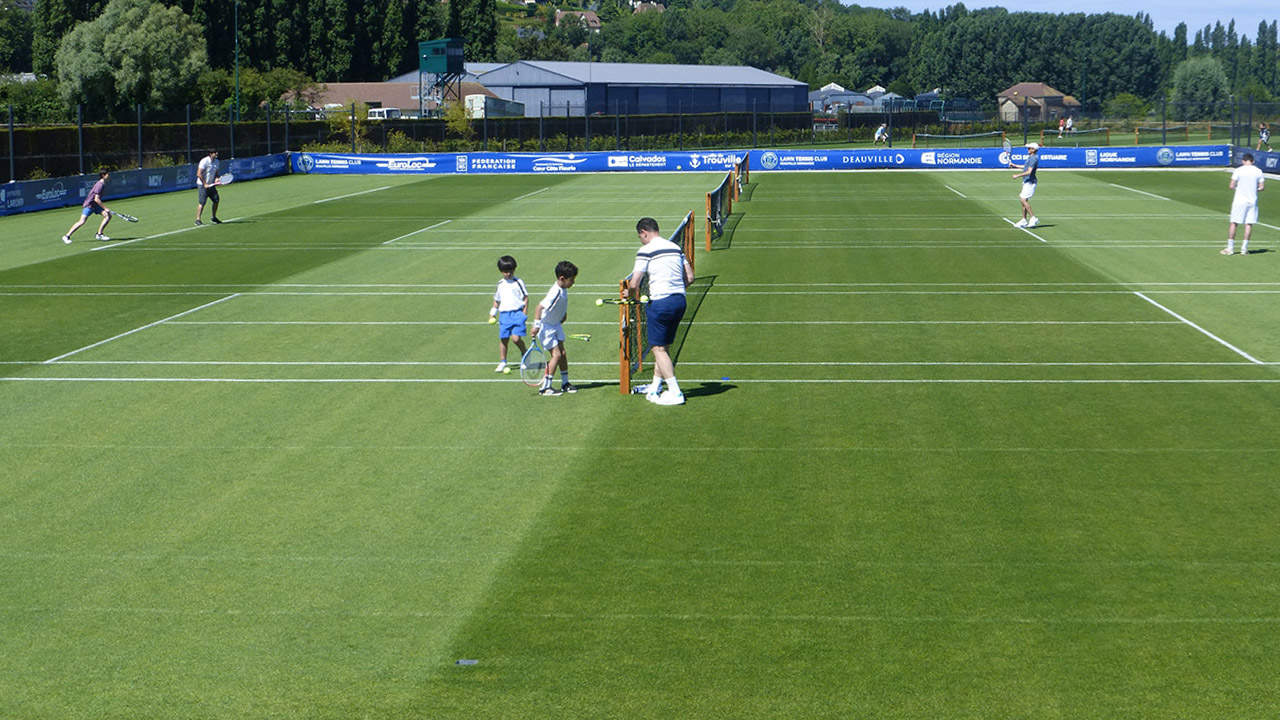 Terrain de tennis en gazon naturel